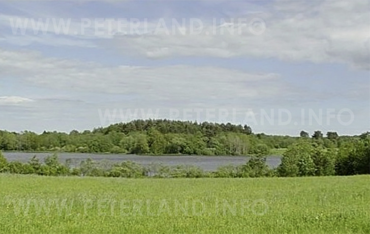 фото 2 вид с участка на озеро Богатырское